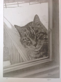 Dave Ghiloni: The Cat IN The Window