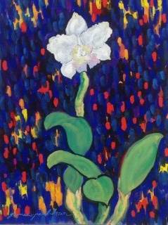 James Paul Brown: Orchid #12